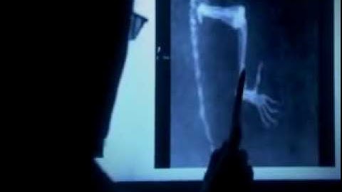 BBC The Missing Link 7