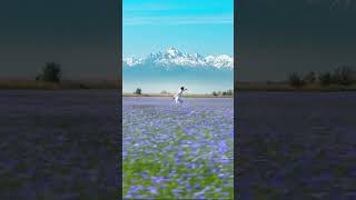 Spring In Kazakhstan Taraz Vs Almaty Explore Kazakhstan