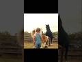 Dog Saves Girl While Mom's on the Phone | A Dog's Journey | #movie #film