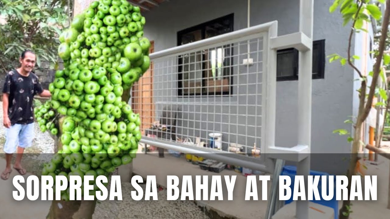 SORPRESA SA BAHAY AT BAKURAN!!! Buhay Probinsya! Philippines.