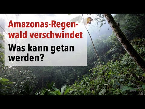 Video: Wie Was Die Amazones