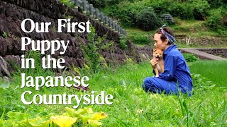 We Welcomed Our First Dog into Our Countryside Life in Japan