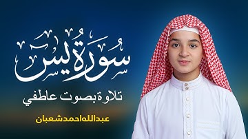 سورة يس تلاوة جميلة تريح القلب والعقل بصوت القارئ عبدالله أحمد شعبان Surah Yasin