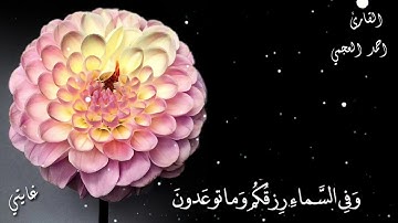 قران كريم بصوت احمد العجمي // اجمل حالات واتس اب دينية  // تلاوة خاشعة