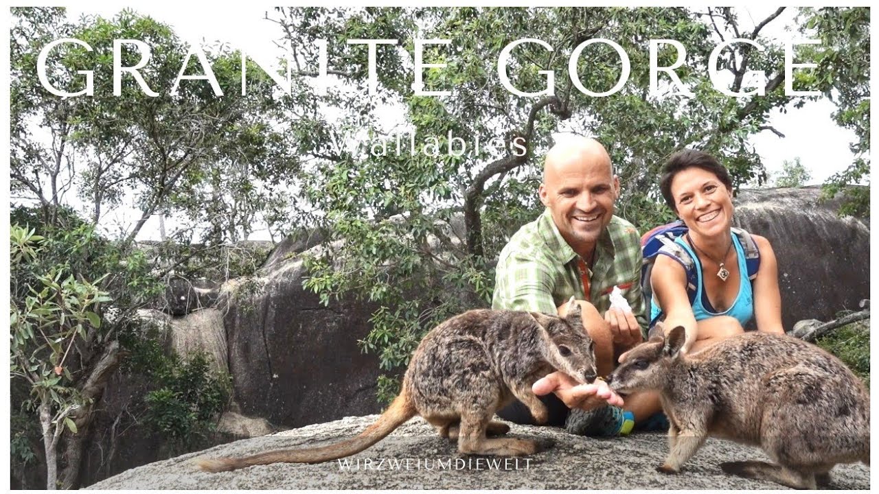 WELTREISE-VLOG#144 Rockwallabies füttern im Granite Gorge Nature Park