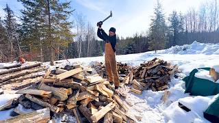 Winter Won’t End—So We Had to Cut More Firewood