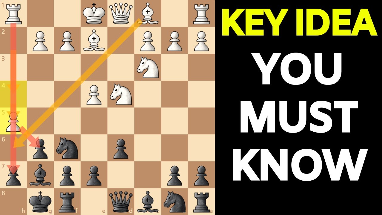 Steemit Chess Game Style Tips for the Neophytes ( Or for lack of a easier  word newcomer ) 5 Quick Tips!!! — Steemit