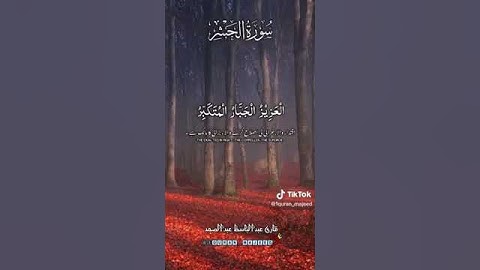 سورة الحشر بصوت الشيخ محمد عبد الباسط