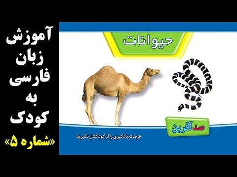 تصویری: نحوه آموزش خواندن به کودک 5 ساله