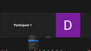 Zoom In Meeting Security Settings