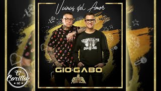Video thumbnail of "La Melodía Perfecta Gio & Gabo -  Vainas Del Amor (Audio Cover)"