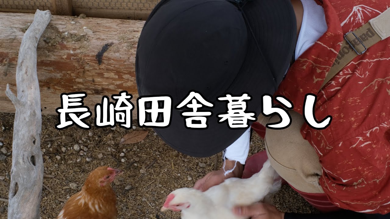 ニワトリと耕作放棄地と僕について｜長崎田舎暮らし#001