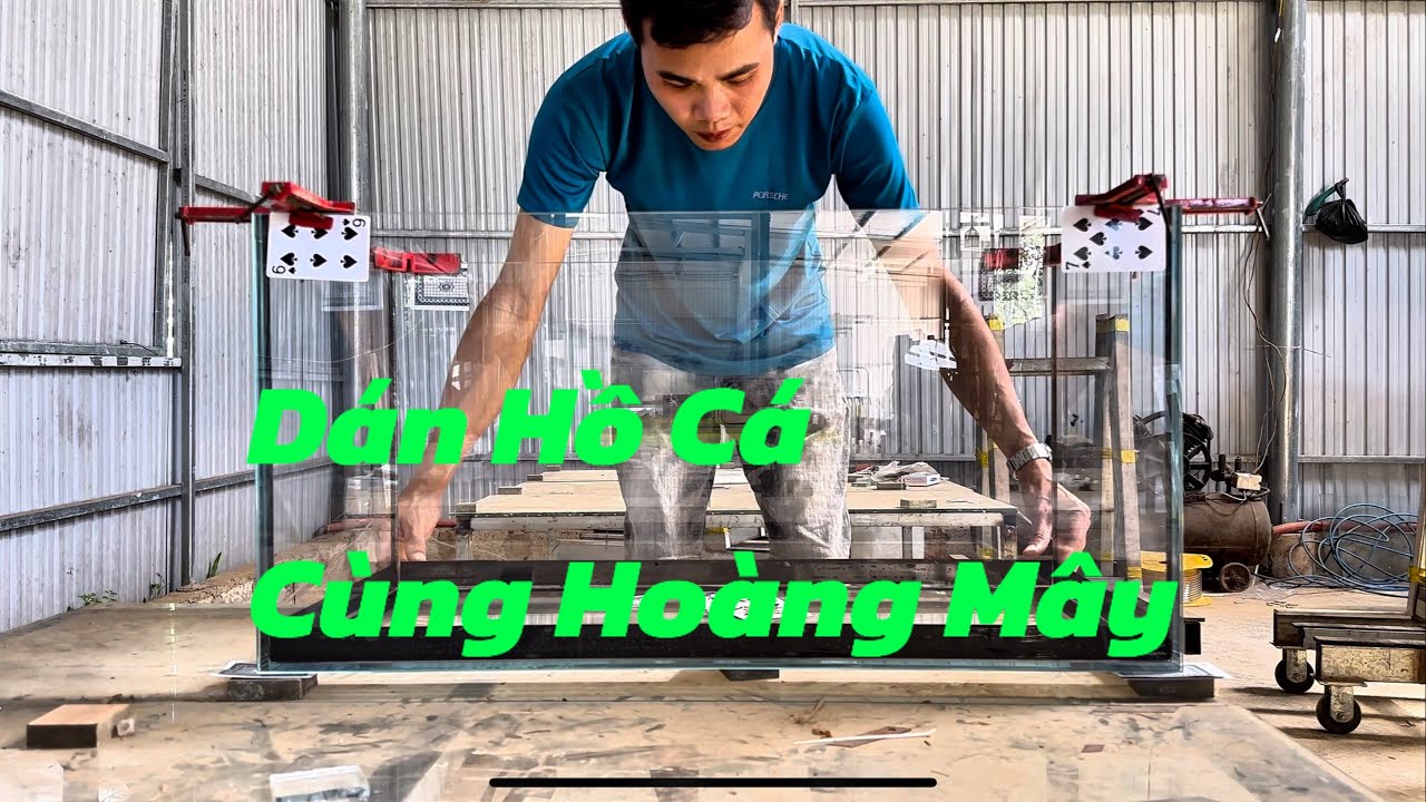 Hướng Dẫn Cách Dán Hồ Cá Giấu Keo Chuẩn, Đẹp Tại Hoàng Mây