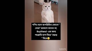 funny video 🤣#viralvideo #vairalshort #trending #views #funny #foryou #cat