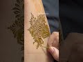 #henna #hennadesign#mehndi #shortvideo #easymehndi#flowerdesign#mehndidesign #beautiful#mehndiartist