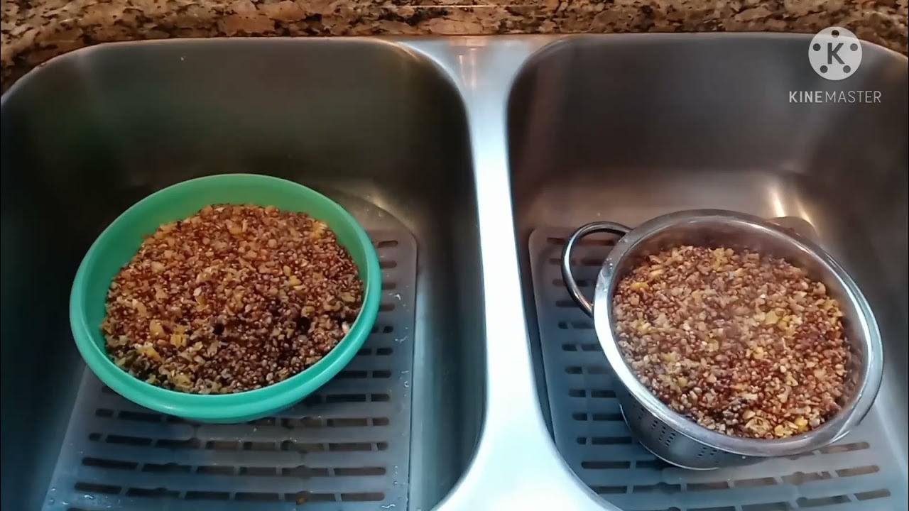 Wild Bird Seed tek No Soak YouTube