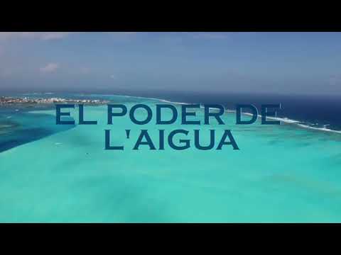 Vídeo: Com Obtenir El Poder De L’aigua