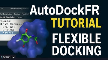 Flexibele docking met AutoDockFR (ADFR) | AGFR-GUI | Moleculaire docking