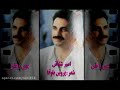 پرستوها امیرشقاقی 