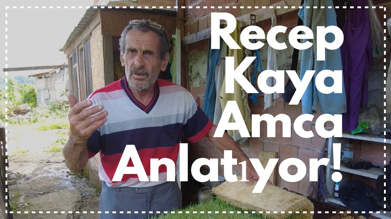 Recep Kaya Amca ile Köy Sohbeti: Arpa Hasılı ve Hayvancılık👨‍🌾🌿🐄@RECEP KAYA