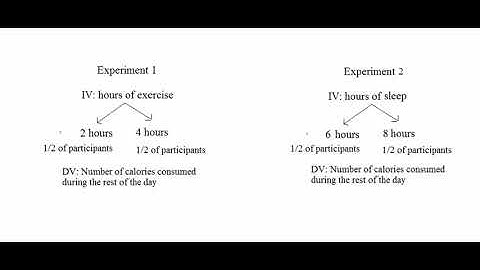 Factorial Designs Part 1