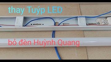 Cách đấu  đèn tuýp led vào máng đèn huỳnh quang