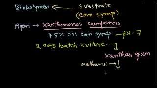 Xanthan gum production