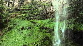 Wildlife-Youtube-720P-20120201.mp4