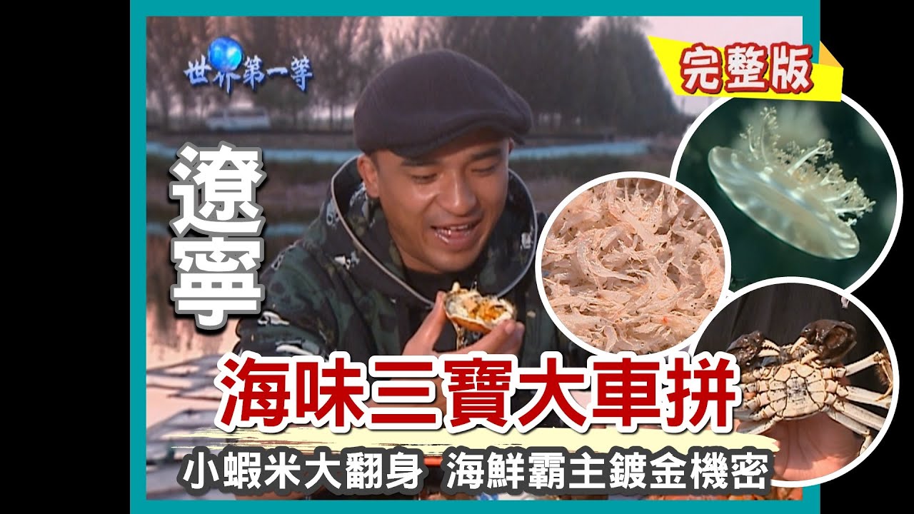 【遼寧】天然漁港遼東灣 野生海味三寶大車拼（蘆葦蕩大河蟹／野生大閘蟹／海蜇／毛蝦、對蝦）｜《世界第一等》174集小馬完整版