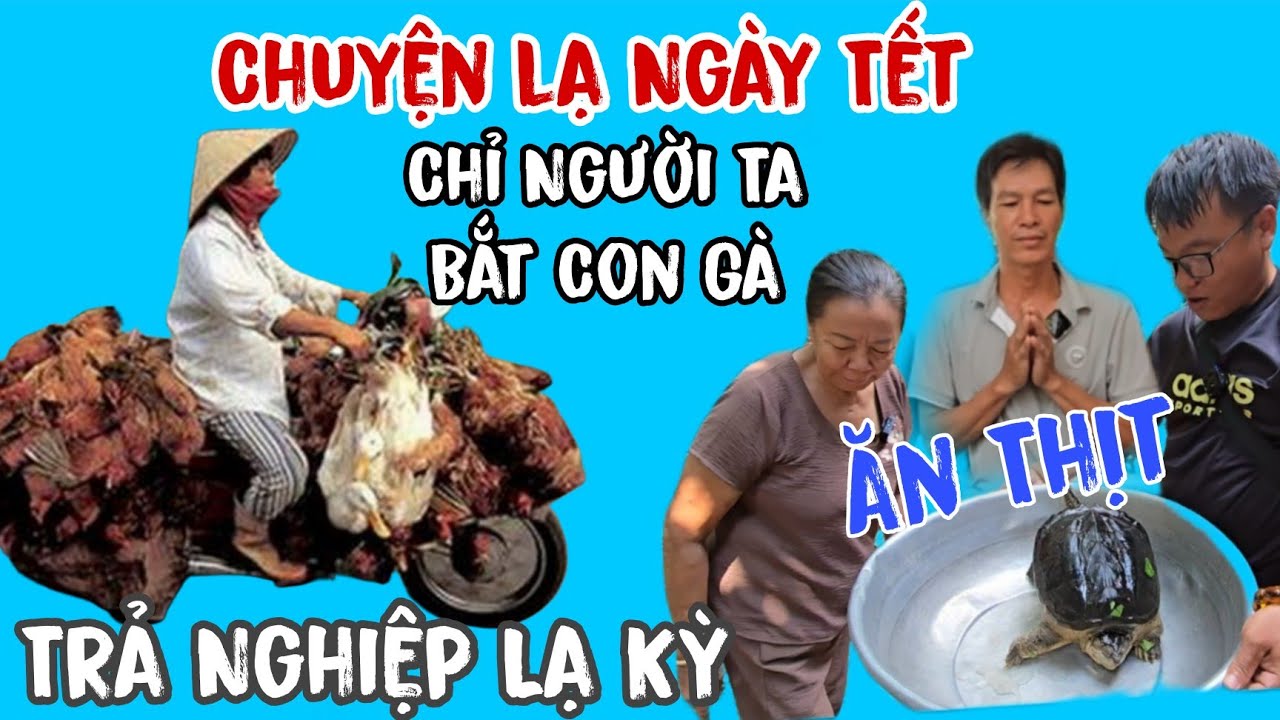 Chuyện lạ ngày Tết 👉 chỉ người ta - bắt con gà ăn thịt ( trả nghiệp lạ kỳ | Châu Phú Area 51 Thiên