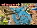 RESCUED VERY BIGGEST SNAKE || full video || जाली में 2 दिन से फसा था 🐍 #19