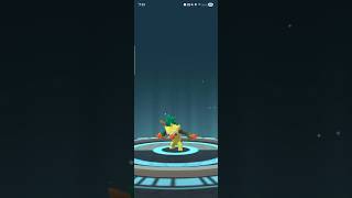 Grookey → Thwackey → Rillaboom | Pokémon GO Evolution #pokemon #pokemongo #shorts