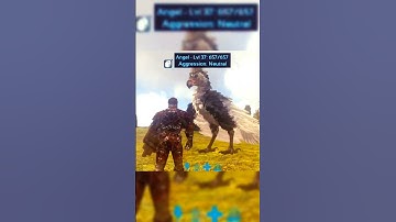 How to tame ARGENTAVIS | First ride with Argy | Ark survival evolved mobile #ark #arksurvivalevolved