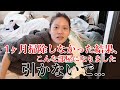 【ドン引き‼️】1ヶ月片付けしやんかったらゴミ部屋と化したので断捨離&掃除します....【汚部屋】