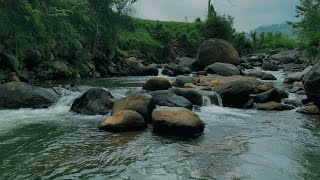 Tranquil Stream in the Mountains – Relaxing River &amp; Water Sounds for Rest