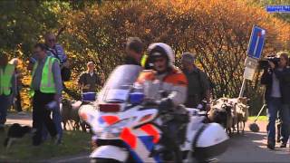 Download Lagu Oversteek A1.mp4 MP3