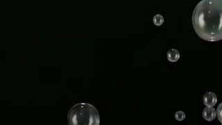 HACI MIZRAKLI BENİM MESELEM