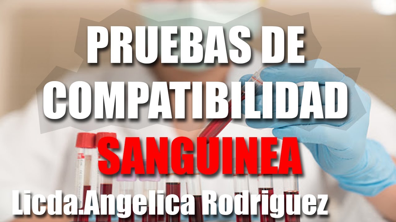 Tutoria 3 Pruebas De Compatibilidad Sanguínea Youtube