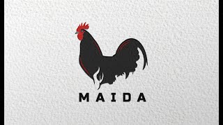 Convert Rooster raster image to vector image on illustrator 2024