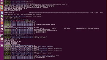 1-prepare a simple application on dist-gem5 (apache-bench)