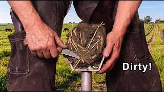 I Cleaned and Restored a Dirty Horse Hoof