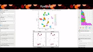 Shiny app to perform Single cell data analysis (Ryabhatta) overview