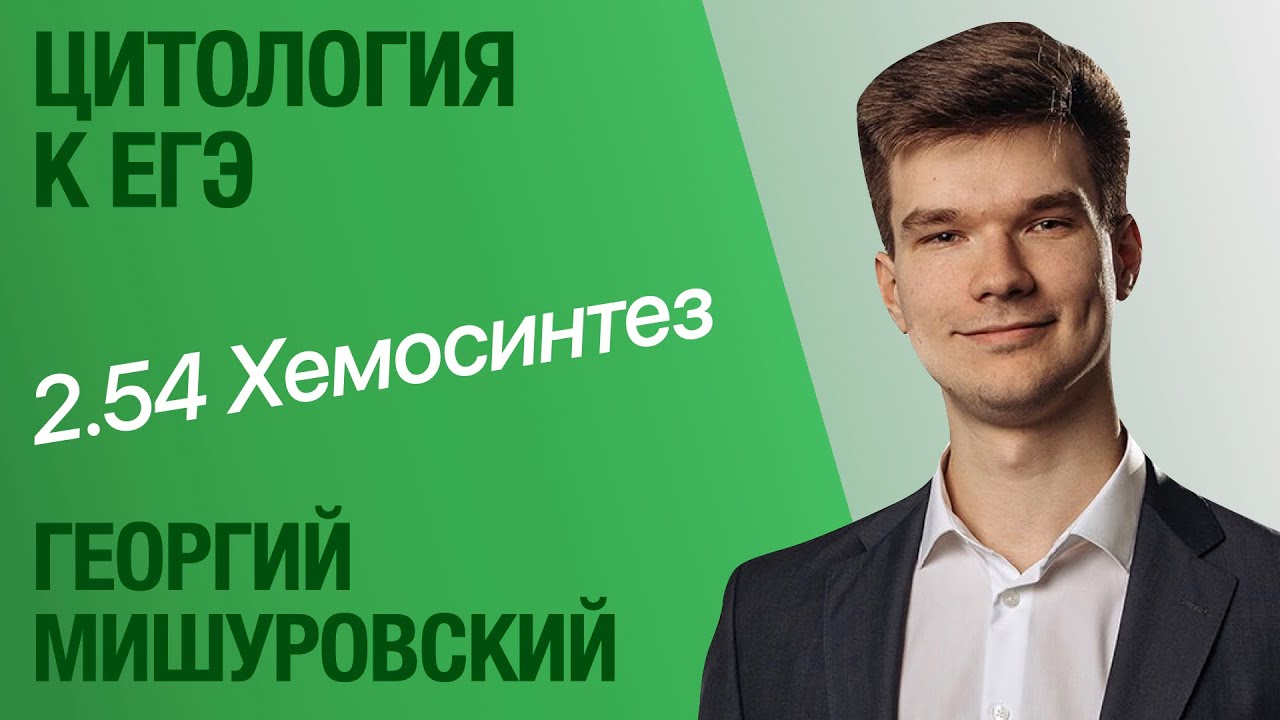 2.54. Бактерии-хемосинтетики | Цитология к ЕГЭ | Георгий Мишуровский