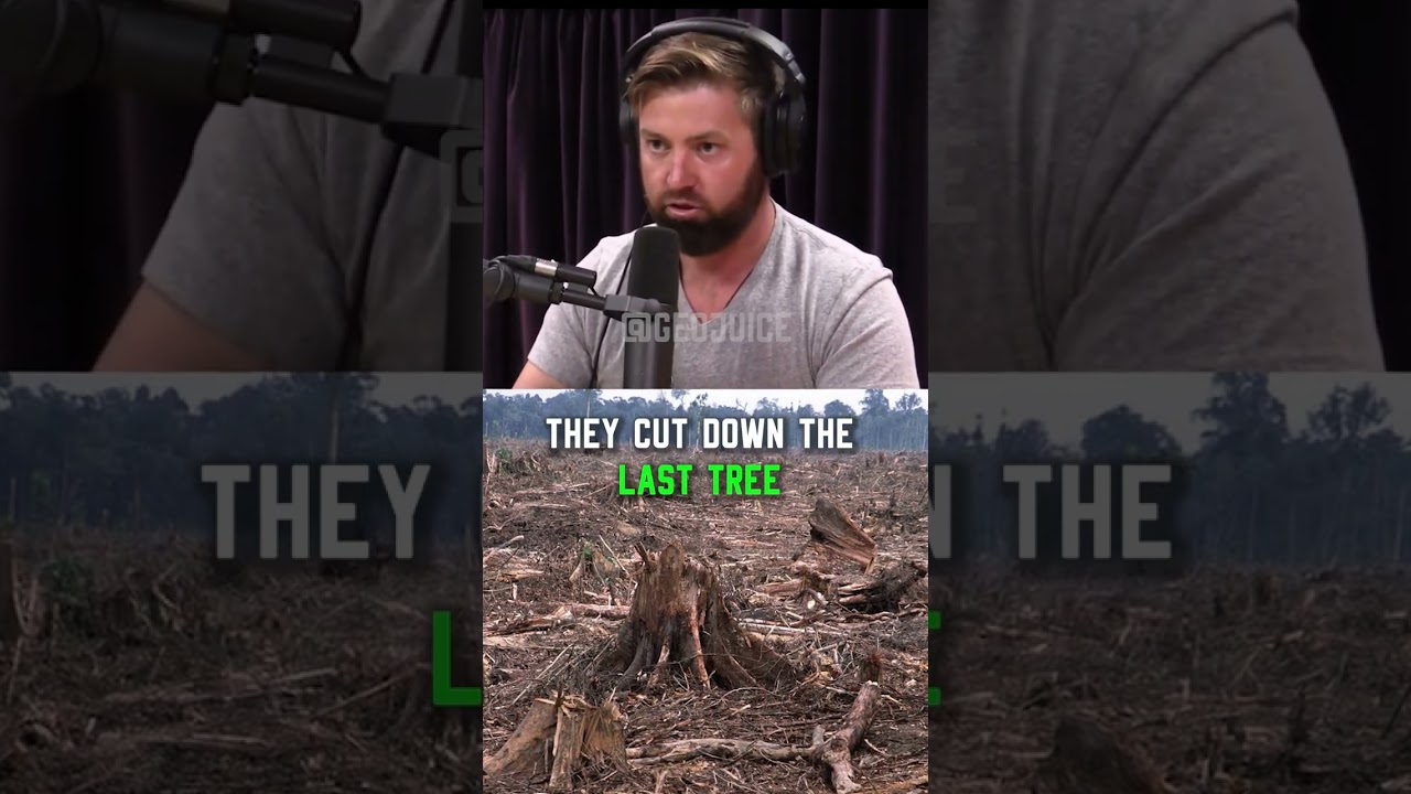 ⁣What Happened to the People of Easter Island? #foryoupage  #fyp  #podcast   #joerogan #easterisland