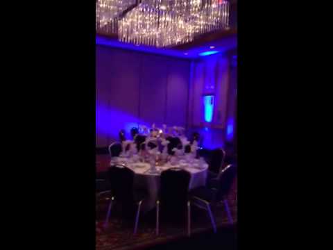 music box entertainment