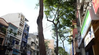 Hotel Sunny Saigon, Ho Chi Minh City, Vietnam | Travel With Bhumika