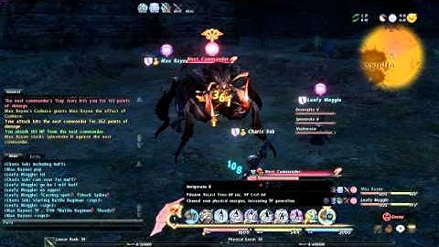 FFXIV NM Battle with Nest Commander