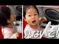 我が家の米騒動 #Shorts