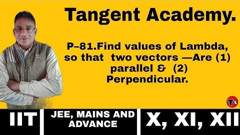 P–81.Find values of Lambda, so that  two vectors —Are (1)  parallel &  (2) Perpendicular. Amazing.