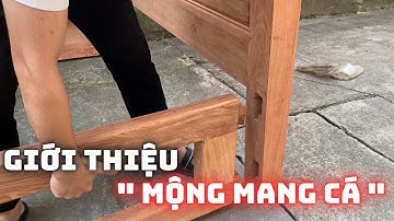 Giới thiệu về mộng mang cá, tiện lợi khi lắp đặt giường ngủ.